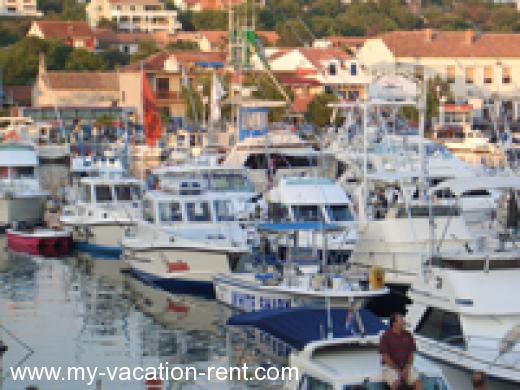 Ferienwohnungen MURTER JEZAR Kroatien - Dalmatien - Insel Murter - Jezera - ferienwohnung #786 Bild 3