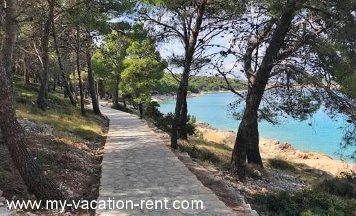 Ferienwohnungen MURTER JEZAR Kroatien - Dalmatien - Insel Murter - Jezera - ferienwohnung #786 Bild 7