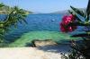 Ferienwohnungen Nada Kroatien - Dalmatien - Trogir - Marina - ferienwohnung #795 Bild 5