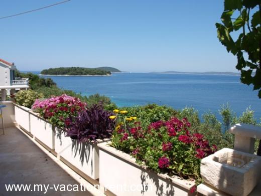 Appartement Maslinica Île de Solta La Dalmatie Croatie #956