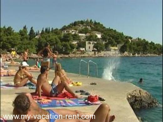 Ferienwohnungen Angela Kroatien - Dalmatien - Sibenik - Tribunj - ferienwohnung #977 Bild 4