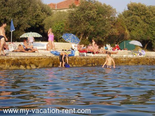 Ferienwohnungen Villa Ibis Kroatien - Dalmatien - Zadar - Kozino - ferienwohnung #981 Bild 3
